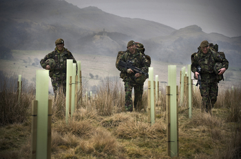 soldiers walk through new woodland at warcop 2011 250