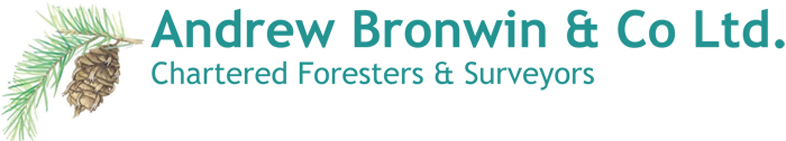 Andrew Bronwin logo