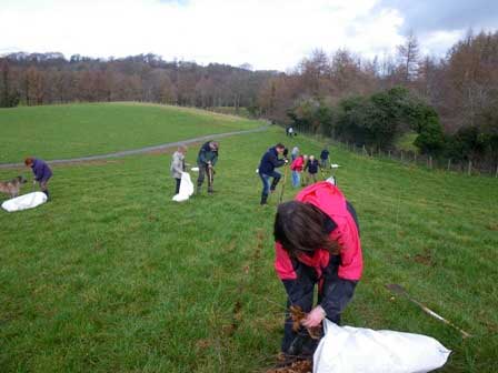 Minnowburn community tree planting date nationaltrustcopyright