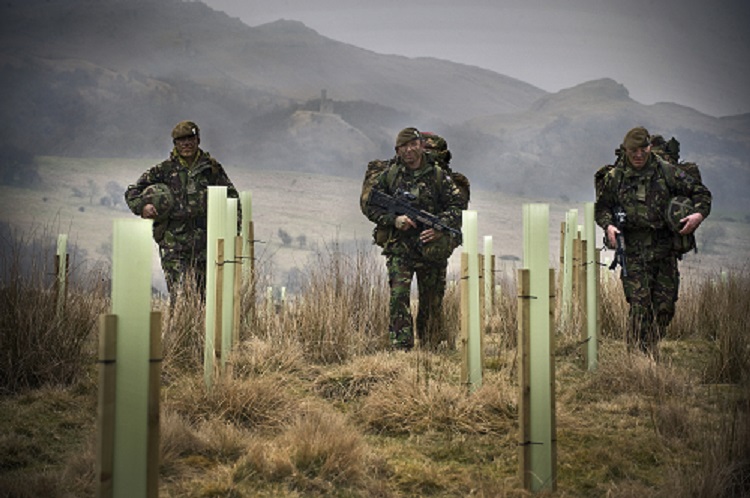 Soldiers walk through new woodland at training centre 750