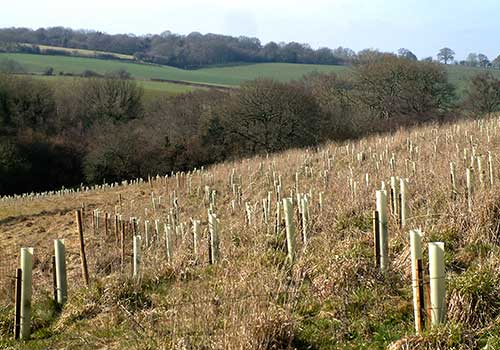 Cwm Fagor View 2