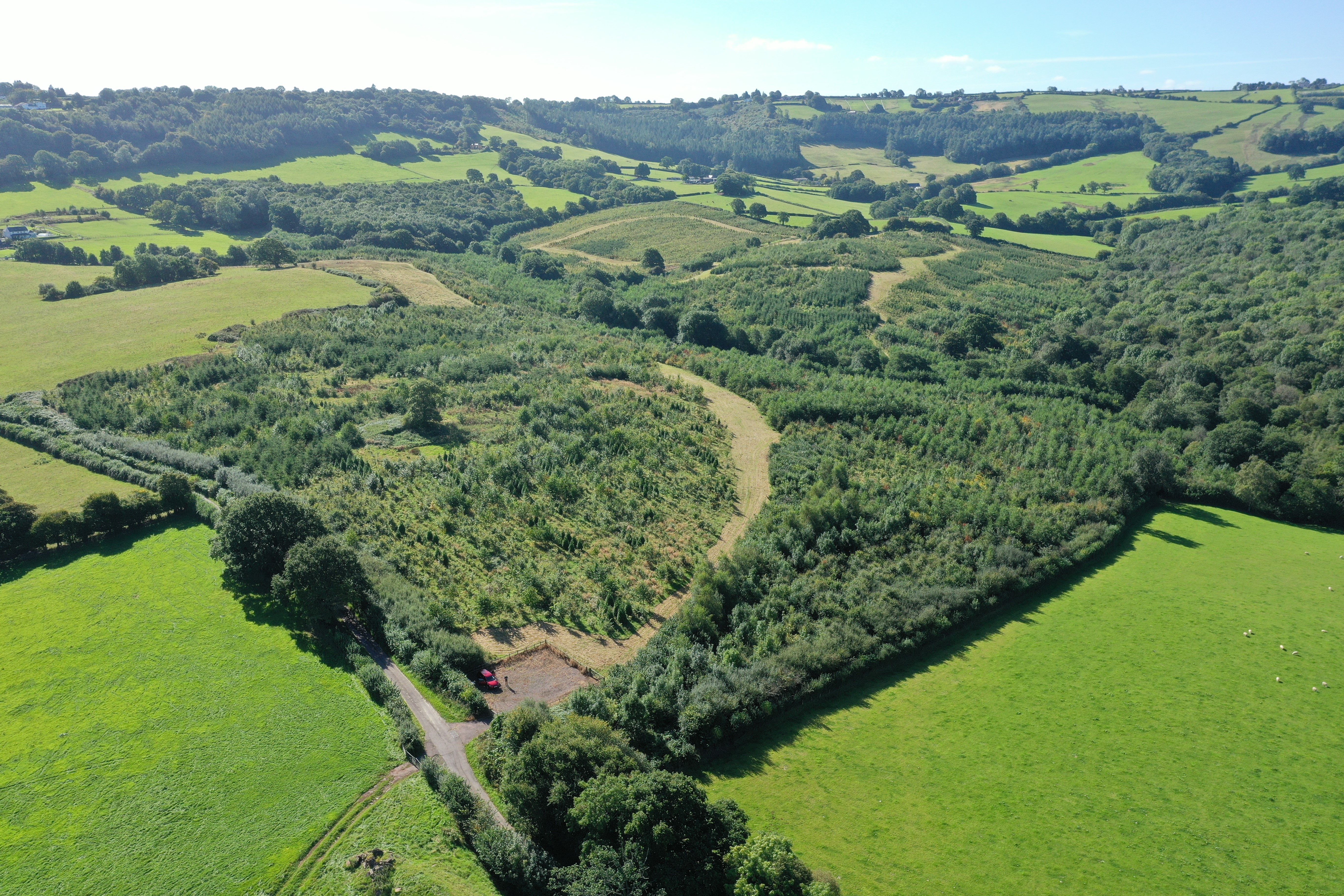 Cwm Fagor woodland progress 2022